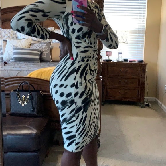 Cache Dress - Picture 5 of 6